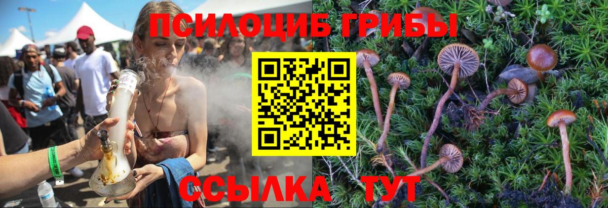 Галлюциногенные грибы мицелий Ялуторовск