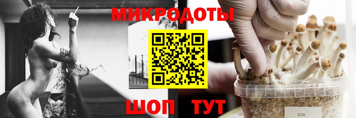 где продают наркотики  Галлюциногенные грибы прущие грибы  Вход с VPN  Ялуторовск 